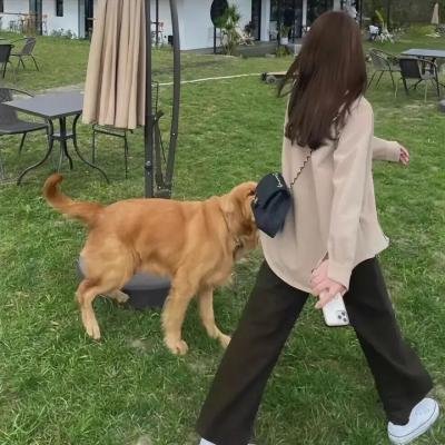 学长与女友